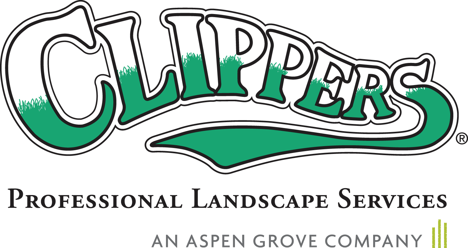 CLIPPERSLANDSCAPE logo