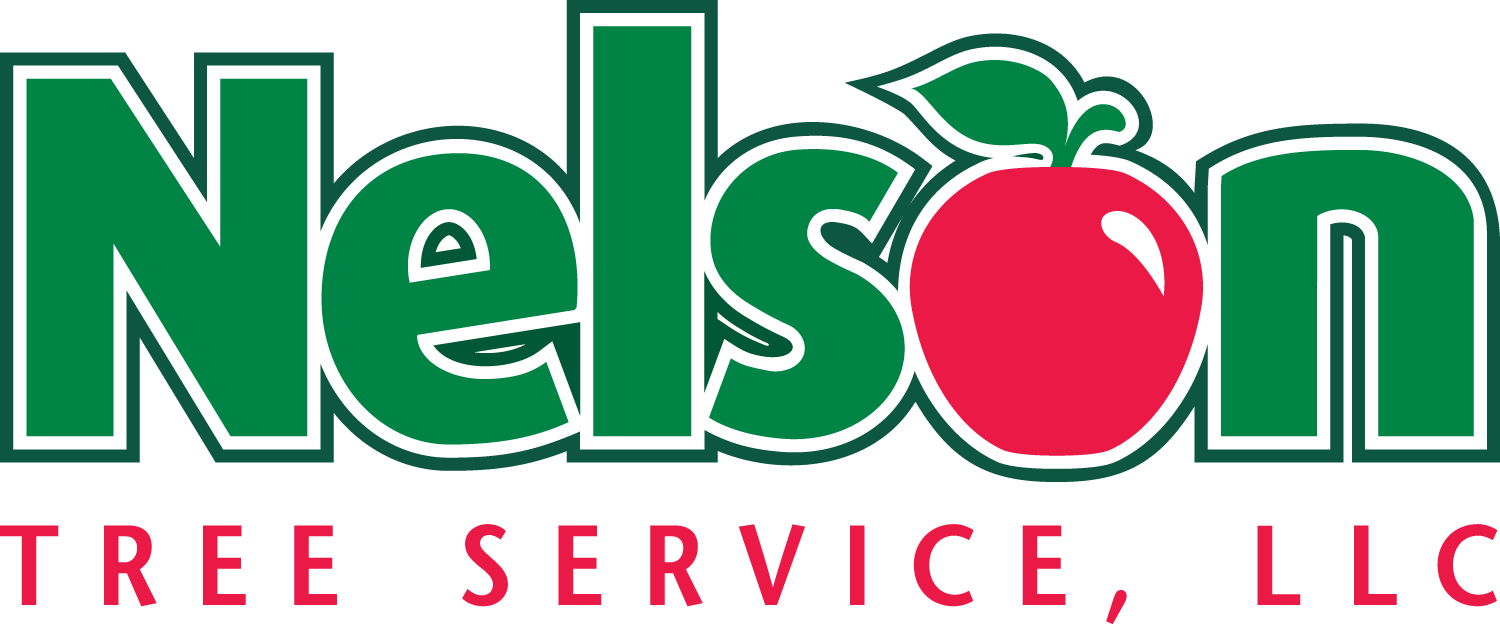 NELSONTREE logo